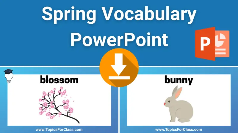Spring Vocabulary PowerPoint Lesson